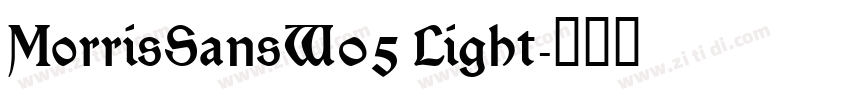 MorrisSansW05 Light字体转换